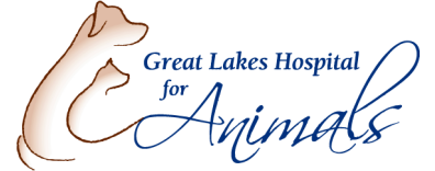 Great Lakes Hospital for Animals-FooterLogo
